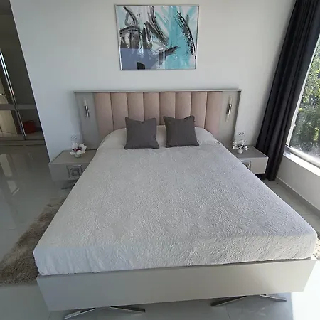 Vila Navis